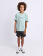 2481000.FERN_2_1790126540000