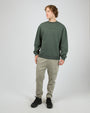 4353052.PINE_2_1769658343000