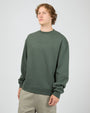 4353052.PINE_4_1769658343000
