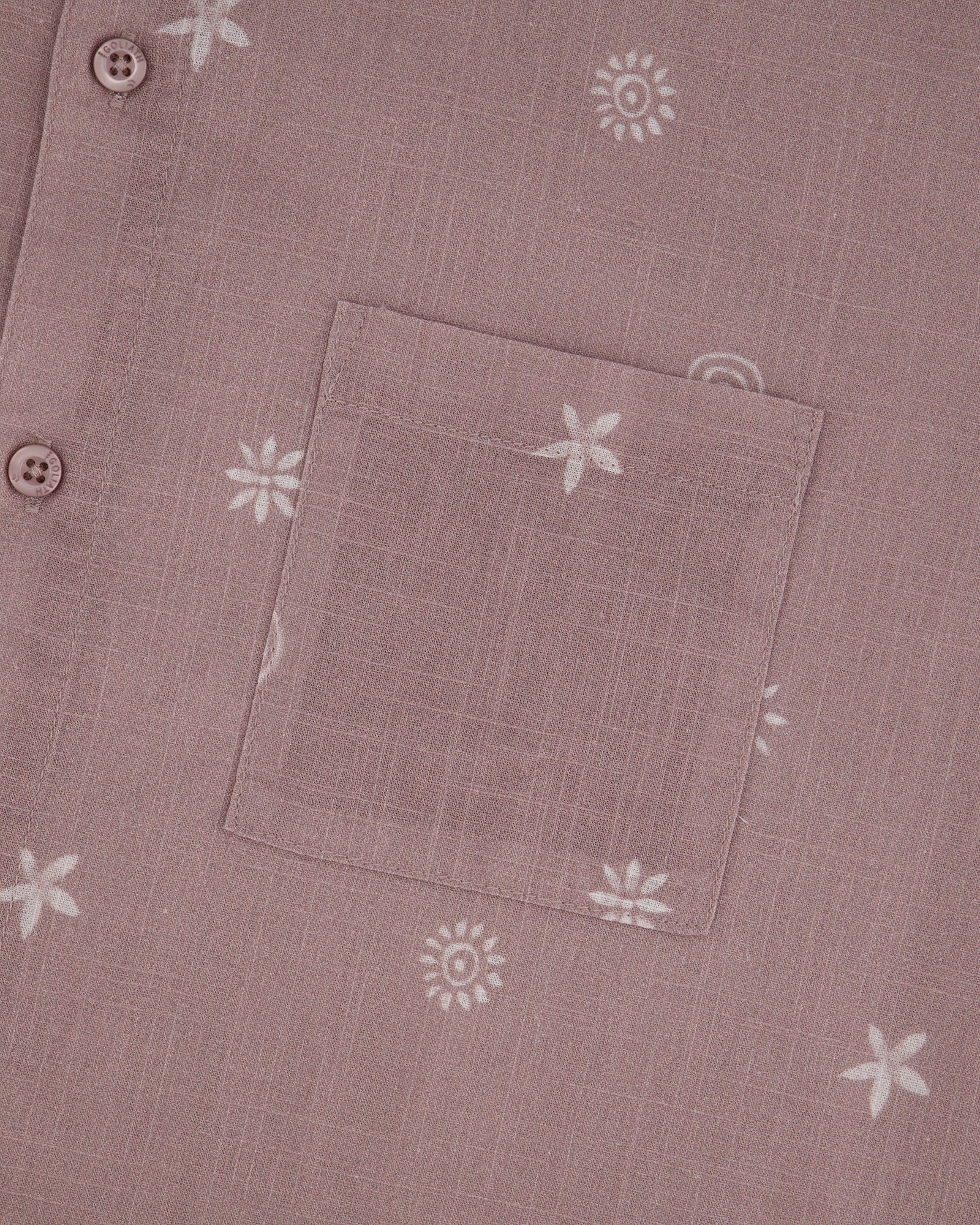 4362055.FAWN_3_1763698580000